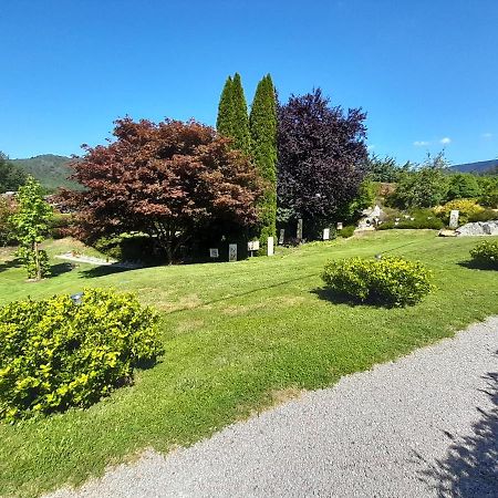 Gite De Grettery Saulxures-sur-Moselotte Exterior foto